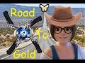 Thank You for 10 subs! Road to gold!
