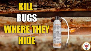 Famous How to Use PT Alpine Foam | BASF DIY Pest Control Tutorial (Kill Termites, Ants & More) Profile