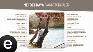 Anlatmam Derdimi Dertsiz İnsana Necdet Kaya Official Audio 