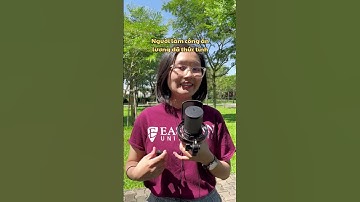 Review sách "Khoá học cấp tốc về tư bản và tiền bạc" - The Woke Salaryman