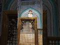 مقام مولا علی ع|نجف اشرف)میں|| #shortsfeed #najaf #mola #shorts #love #اكسبلور #yaali