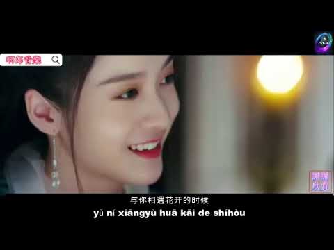 相遇花开 - 海来阿木 (( Xiang yu hua kai - Hai lai a mu ))