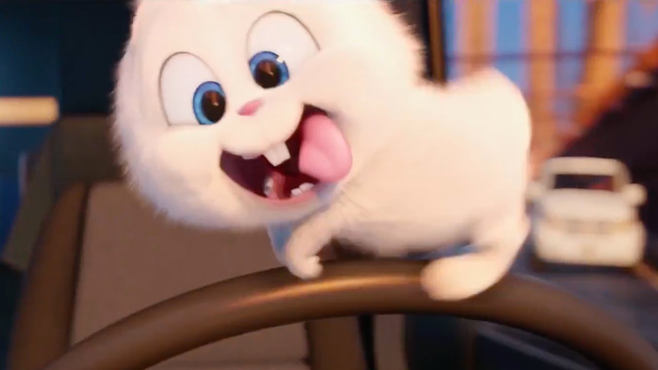 The Secret Life Of Pets Official Trailer 3 Us 2016 Youtube