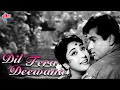 शम्मी कपूर और माला सिन्हा की सुपरहिट रोमांटिक मूवी दिल तेरा दीवाना | Dil Tera Deewana | Mehmood