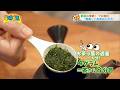 新茶の季節！プロ直伝 美味しいお茶の入れ方！『緑茶専門店・カフェ　Green Tea Fields（宮崎市）』　2026年5月14日（木）「4時どき！」