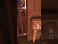 These birds in DOORS are secret MAP MARKERS and nobody knows..