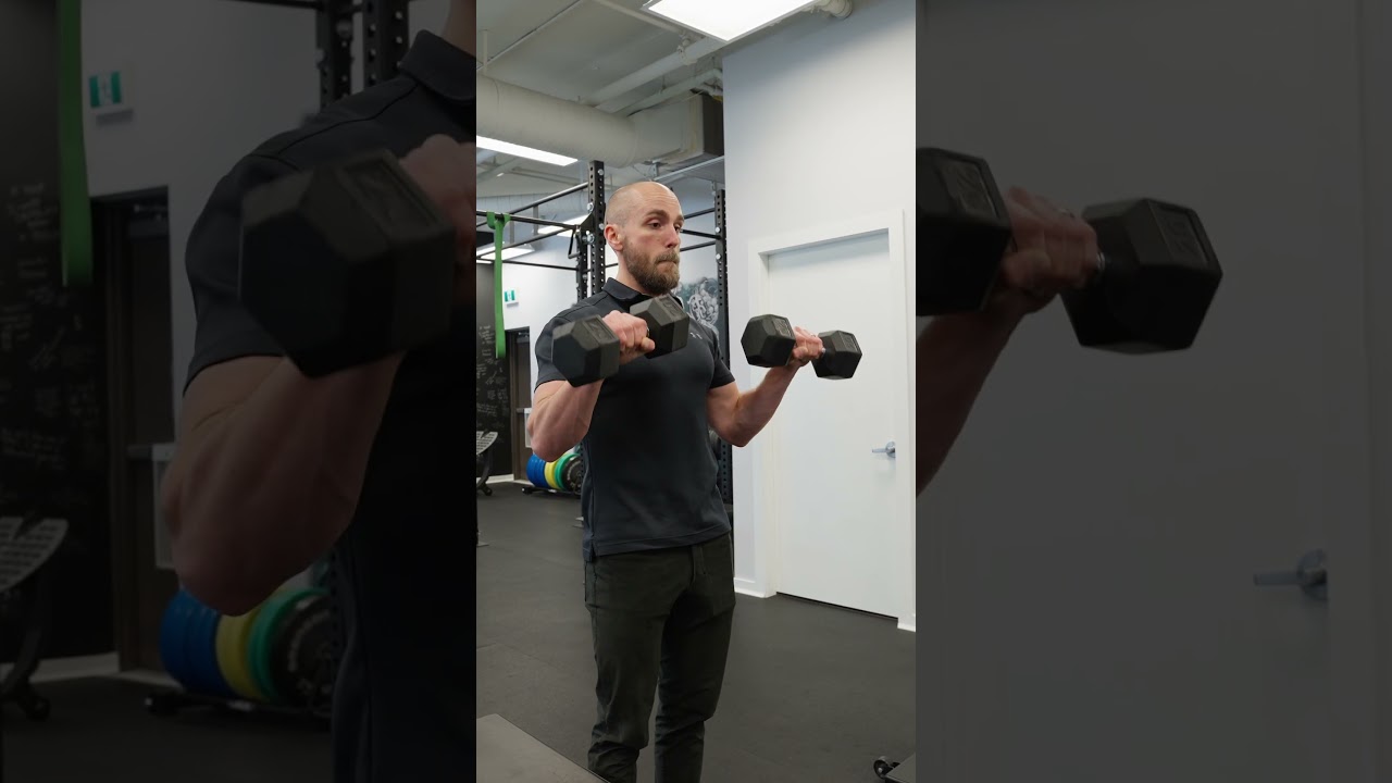 Завиток Зоттмана