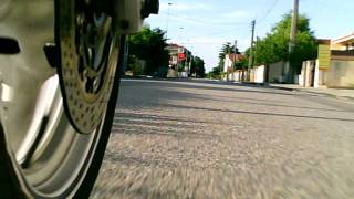 Shouring Fazer 2 Dv15