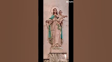 THỨ SÁU 15/08/2025 - ĐỨC MẸ HỒN XÁC LÊN TRỜI - LỄ TRỌNG | ĐỨC TIN & HY VỌNG | #ducmehonxacvetroi