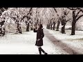SNOW FALLS ON CHERRY BLOSSOM AROUND TOKYO ( my intro )