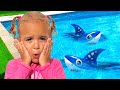 Alice Plays And Learns Rules Of Conduct In The Pool Alice Plays And Learns Rules Of Conduct In The Pool
