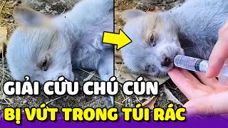 Cô gái Giải cứu Chó con bị Người chủ bỏ vào túi rác và vứt đi | Yêu Lu Official