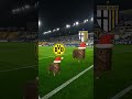 Celebrating with Friends #BVB #cats #meme