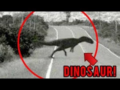 Video: I 6 Migliori Miti Sui Dinosauri: Come Possiamo Confutarli? - Visualizzazione Alternativa