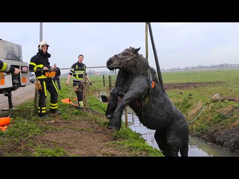 Vídeo: Desenterrado Recentemente: Incrível Vídeo Vintage De Kayaker Puxando Movimentos 30 Anos à Frente De Seu Tempo - Matador Network