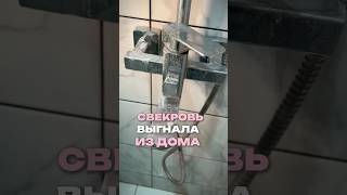 Свекровь монстр