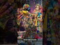 सुप्रभात 💗राधे राधे#goodvibes #morning #harekrishna