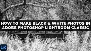 The BEST way to make BLACK and WHITE PHOTOS In Adobe LIGHTROOM CLASSIC