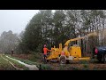 Building a FOOD FOREST On Our Veggie Farm (In NC)