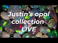 Justins opal collection live