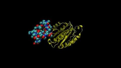 Protein binding simulations