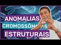 Mutações Cromossômicas Estruturais | Prof. Paulo Jubilut