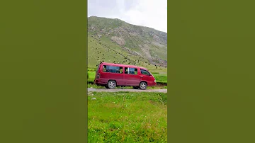 Deosai Skardu #nature #naran #travel #pakistan #flowers #skardu #deosai #shorts