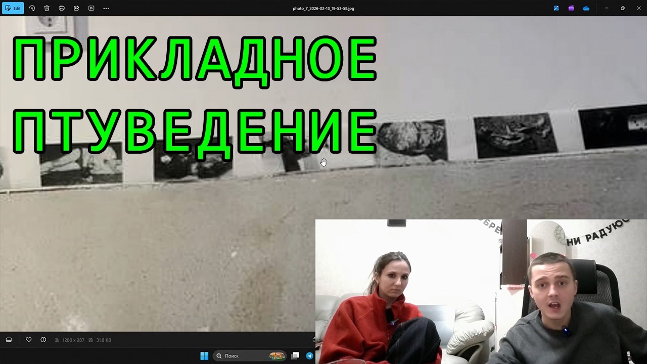 Кураторский текст 4-ого проекта ПТУ: плесень на герметике (2/2)