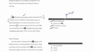 Episode 4: Comma Usage, New PSAT Writing