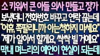 (반전 사연) 소 키워서 큰 아들 의사 만들어 장가 보냈더니 전화번호 바꾸고 연락 끊는데 “제가 알아서 할게요, 싹싹 빌 거예요' 막내 며느리의 예언이 현실이 되는데 /사이다사연