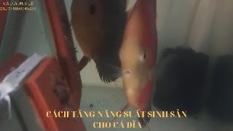 # 5 CÁCH TĂNG NĂNG SUẤT CÁ SINH SẢN