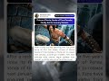 prince of persia: sands of time remake finally set for January release #princeofpersia #gameplay