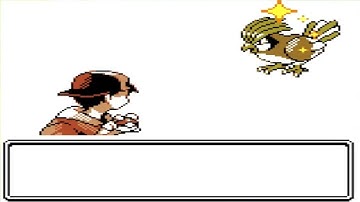 [LIVE] Shiny Pidgeotto after 612 random encounters in Pokemon Gold