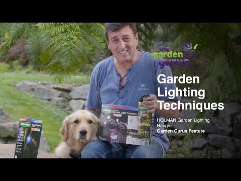 Video: Trädgårdsbelysning för träd - Lär dig om framhävningstekniker i trädgårdar