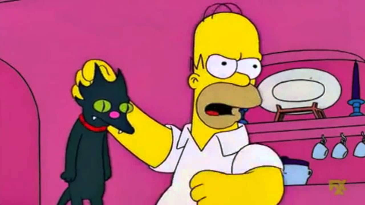Simpson Cat 17 Stratego Com