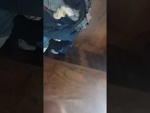 ١٨ نوفمبر ٢٠٢٥