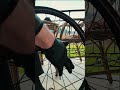 come liberare un corpetto da una ruota. #bikebuild #bikerepair #wheels #easy