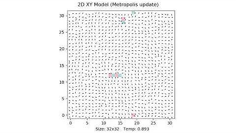 2D XY model (Metropolis update)