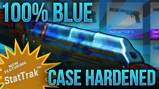 WORLDS BEST AK BLUE GEM TRADE UP ($30,000 PROFIT)