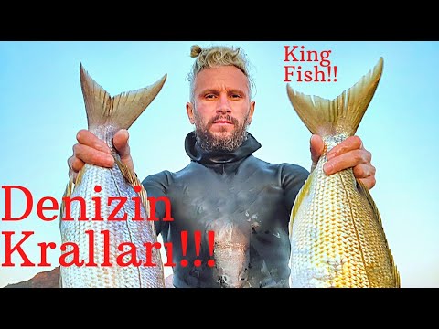 ZIPKINLA BALIK AVI | SİNARİT | LAGOS | SPEARFİSHİNG | GROUPER | DANTEX | DEEP