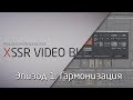 XSSR Video Blog 1: Гармонизация