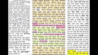 דף יומי מסכת פסחים דף קטז Daf yomi Pesachim daf 116 להצלחת נאור בראון