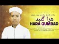 Beautiful nasheed  hara gumbad by arif arian      ikram shilpigosthi  new song 2023