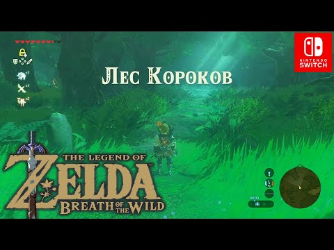 Видео: Zelda: Breath Of The Wild - Lost Woods направления маршрута и как добраться до леса Корок