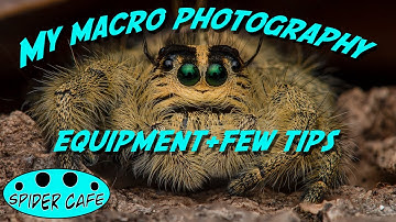 My MACRO photography set up- from beginning till now.