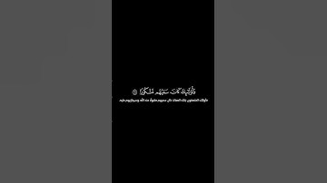 🌿|تِــــلاوَة ما تيسر من سُورَةُ الإِسۡرَاءِ#القرآن #سورة_الإسراء  #Quran