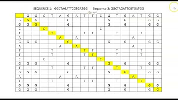 Introduction to dotplots for sequence alignment