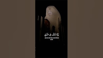 | واصبر وما صبرك إلا بالله ولا تحزن عليهم ولا تك في ضیق مما یمكرون | #سورة_النحل #احمد_النفيس#تلاوة