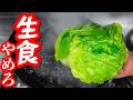 【8分料理】嘘だろ？茹でたレタスがこんなに美味いなんて聞いてないけど？？？