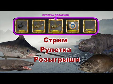 РР4 Розыгрыши, Рулетки, Трофеи))) - YouTube